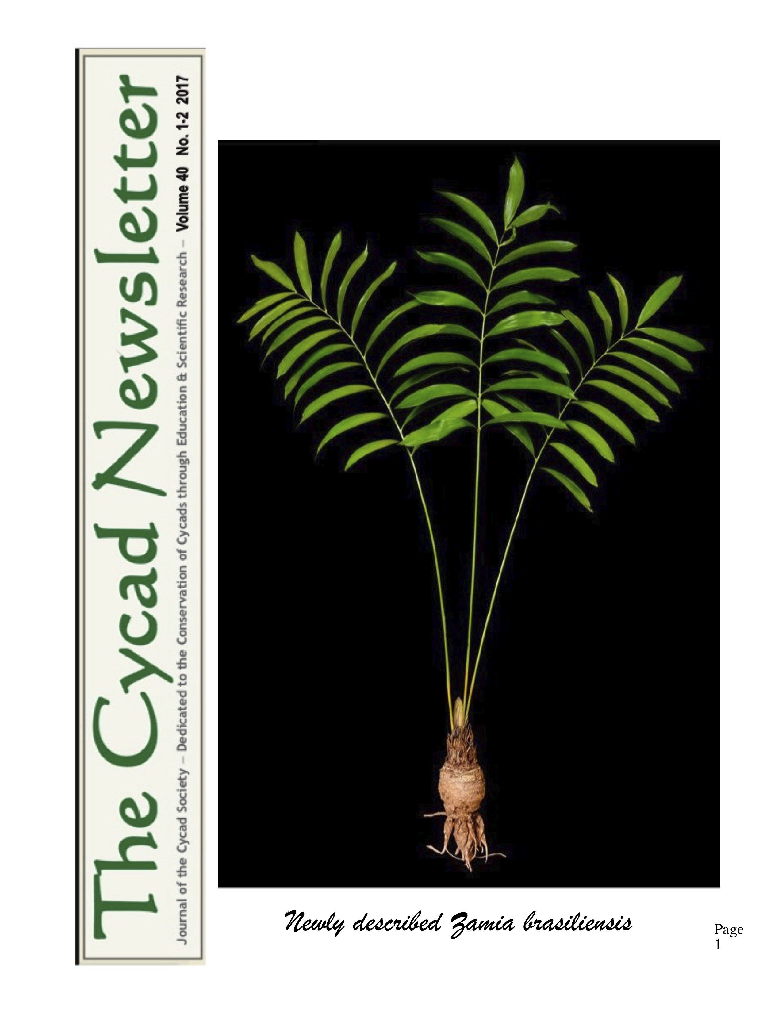 2nd Cycad Newsletter