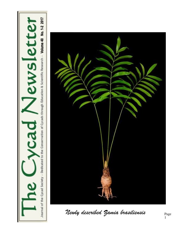 2nd Cycad Newsletter
