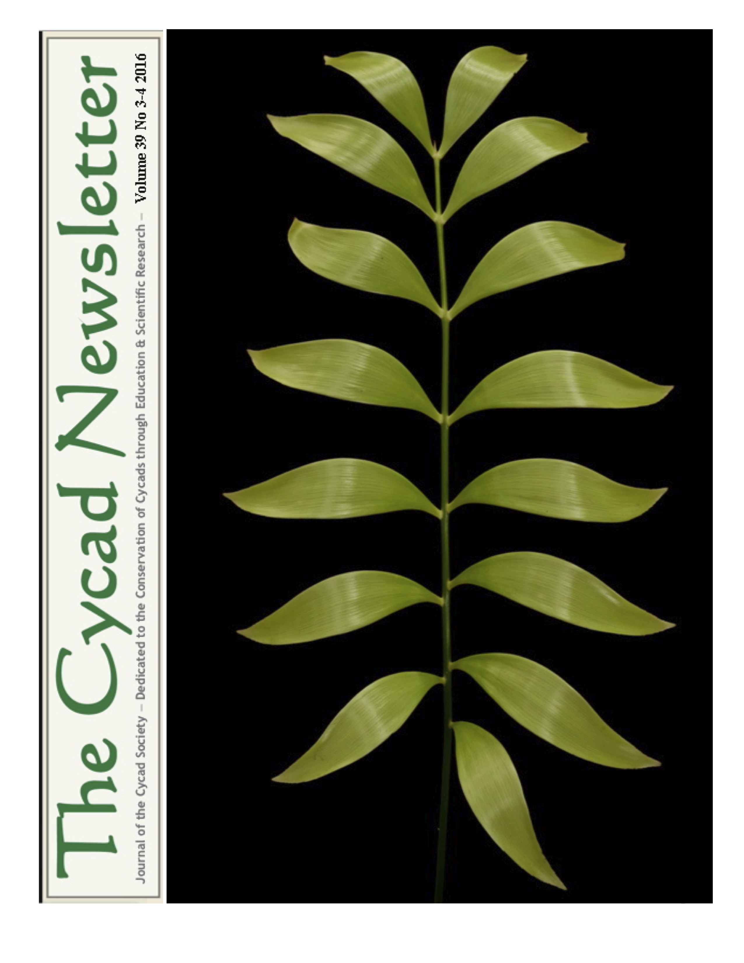 Revised cycad newsletter copy1