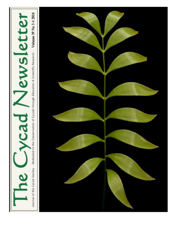 Revised cycad newsletter copy1