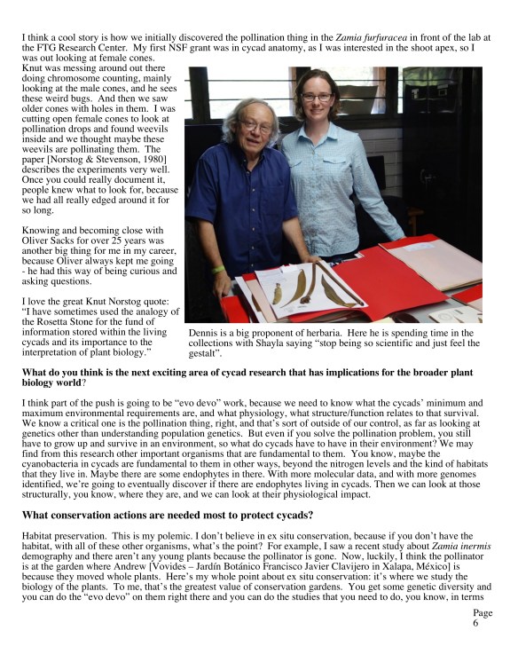 Revised cycad newsletter copy4