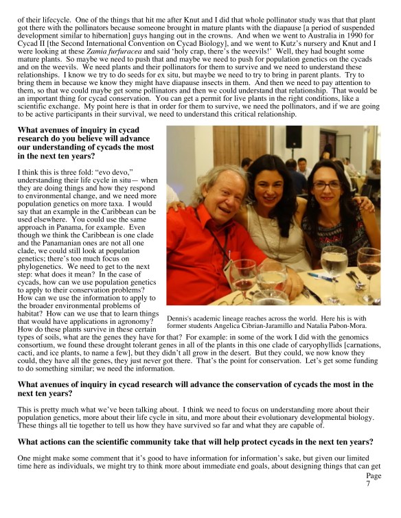Revised cycad newsletter copy5