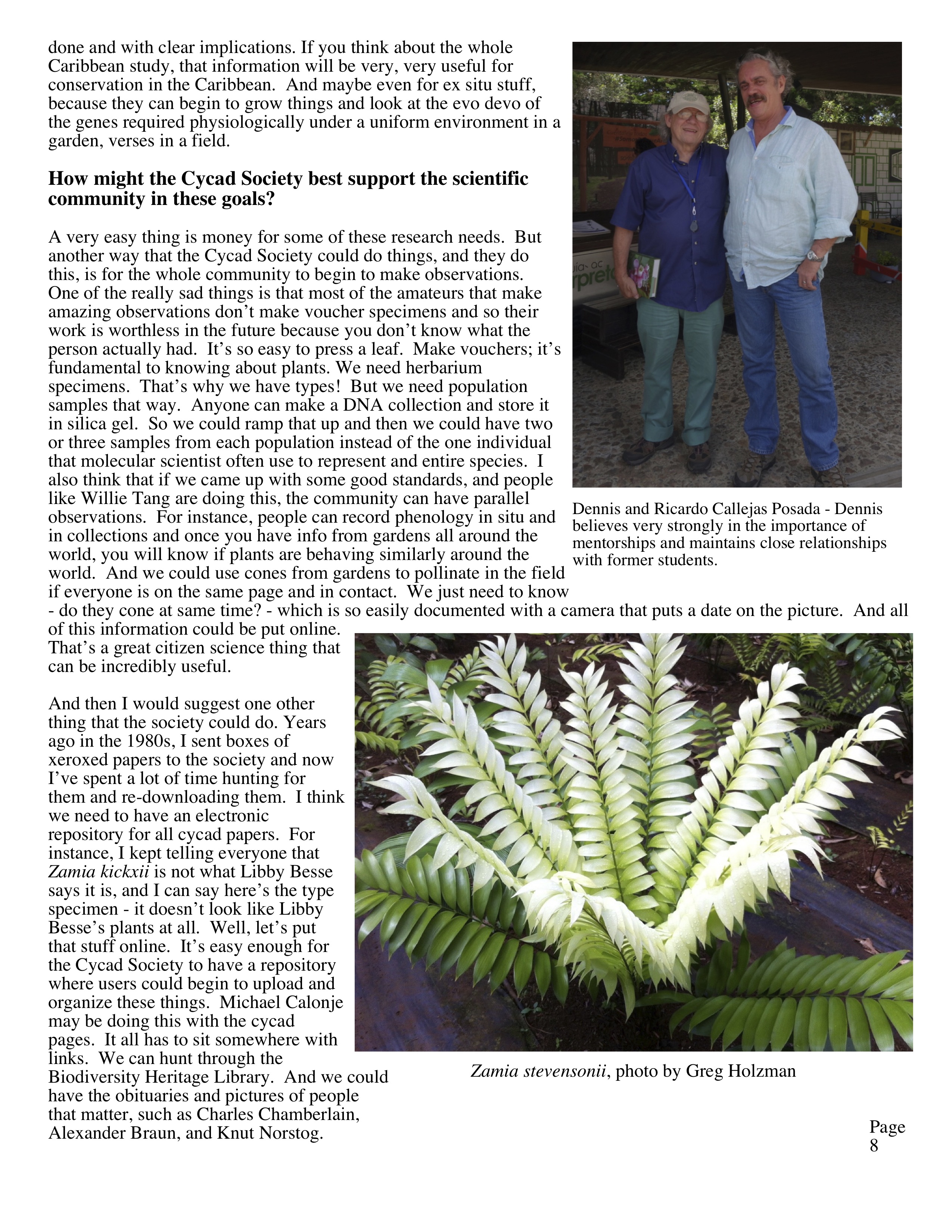 Revised cycad newsletter copy6